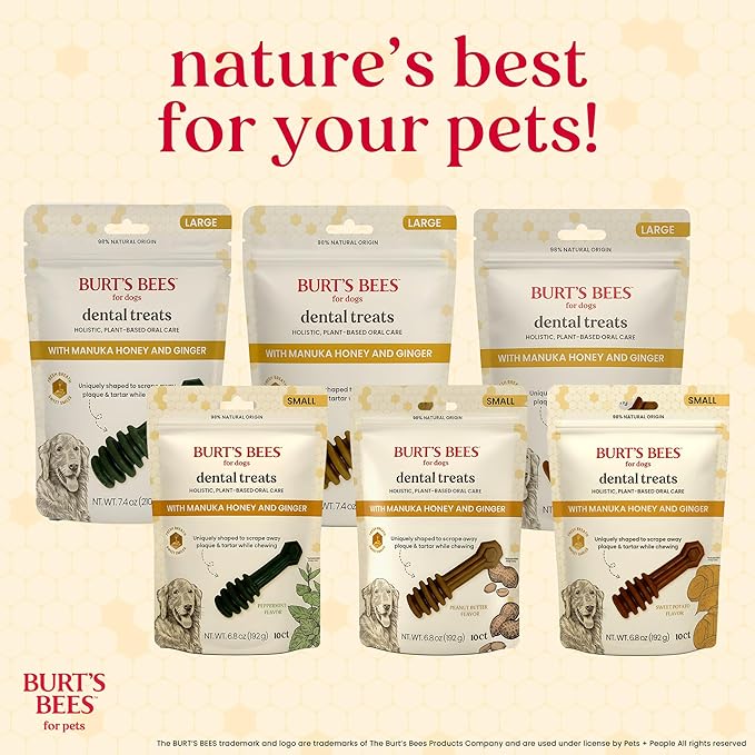 BURT'S BEES FOR PETS Dental Treats for Dogs with Manuka Honey & Ginger, Holistic, Plant-Based Oral Care, 98% Natural Origin Formulas, Sweet Potato Flavor, Dog Treats Small Dogs, Sz Sm 10ct, 7 oz