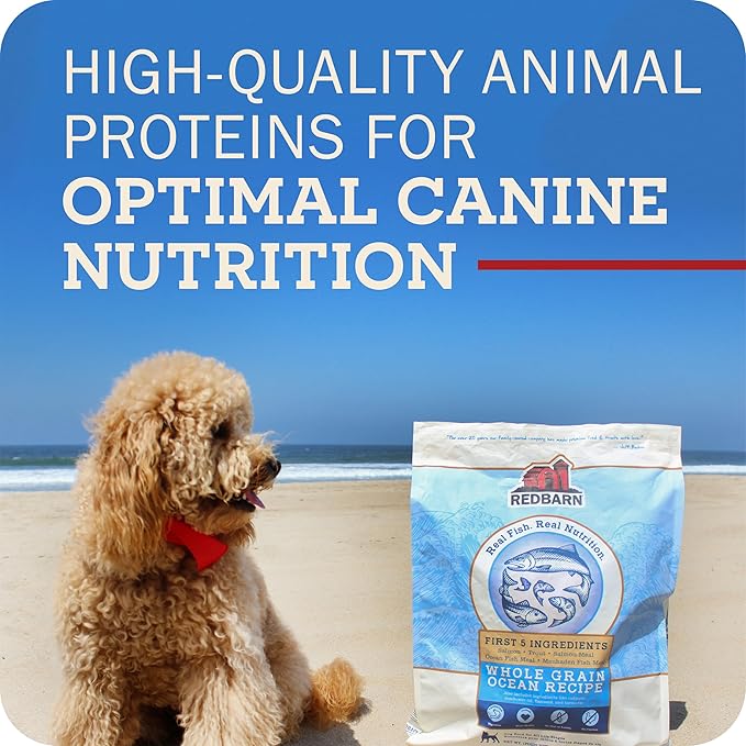 Redbarn Whole Grain Large Breed Dog Food Kibble - Beef & Lamb Recipe - Made in USA No Chicken Recipe with Functional Ingredients to Support Healthy Heart, Joints, Digestion, Skin & Coat - 15lb