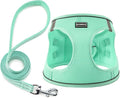 Dog Harness with Leash Set, No Pull Adjustable Reflective Step-in Puppy Pet Vest Harnesses for Small Medium Large Dogs and Cats,Green S