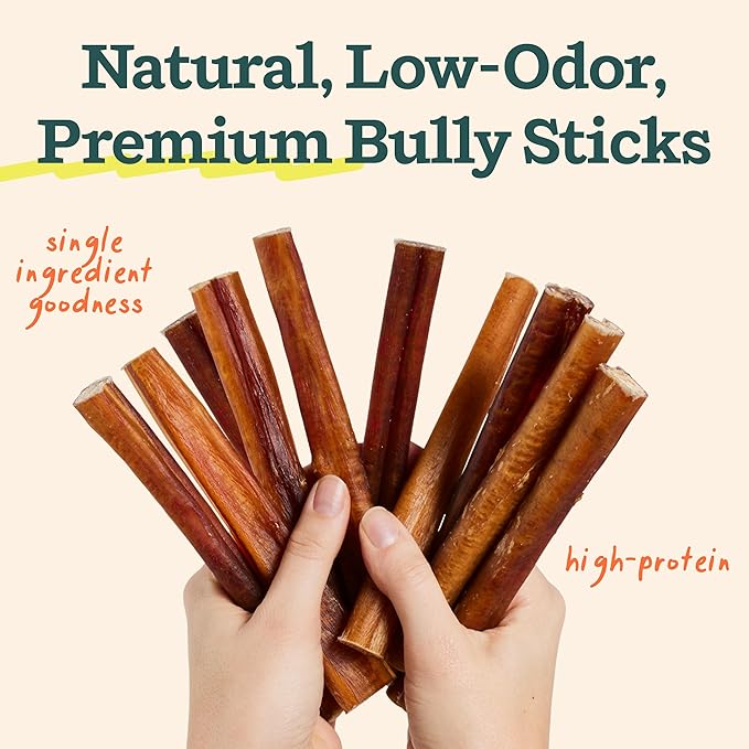 WOOF BullySafe and Bully Sticks - Nutritious Chew Sticks for Dogs and Bully Stick Holder for Safe, Long-Lasting Play - No More Swallowed Ends - 6" Sticks - 5 Pack