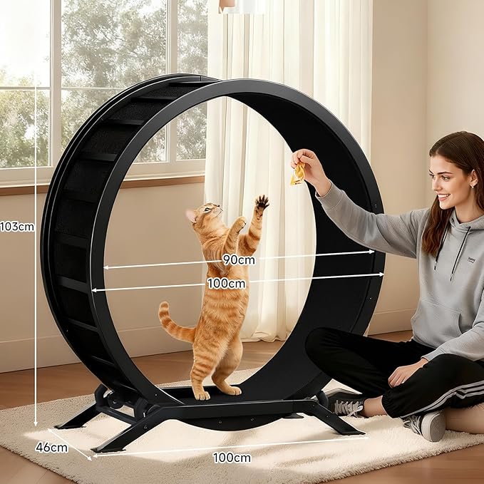 GTRACING Cat Wheels, 40" Diameter, Large Cat Exercise Wheel for Indoor Cats cat Treadmill Metal with Detachable Black Carpet & Teaser/Stickers, Ultra-Quiet Scroll Wheel with Latch, Safe and Stable