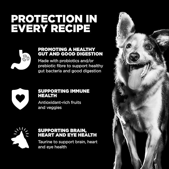 Go! Solutions Sensitivities Limited Ingredient Lamb Grain-Free Dry Dog Food, Chicken-Free Kibble Made by Experts for Sensitive Stomachs & Food Allergies, for Puppies, Adults, & Seniors, 3.5 lb Bag
