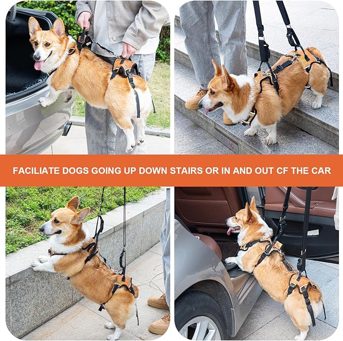 Dog Lift Harness, Dog Lift Sling Carrier with Handle & Shoulder Sling, Support Harness for Rear Back Legs Helps,Disabled,Arthritis,Joint Injuries,Paralysis Up Stairs（Orange,Large）