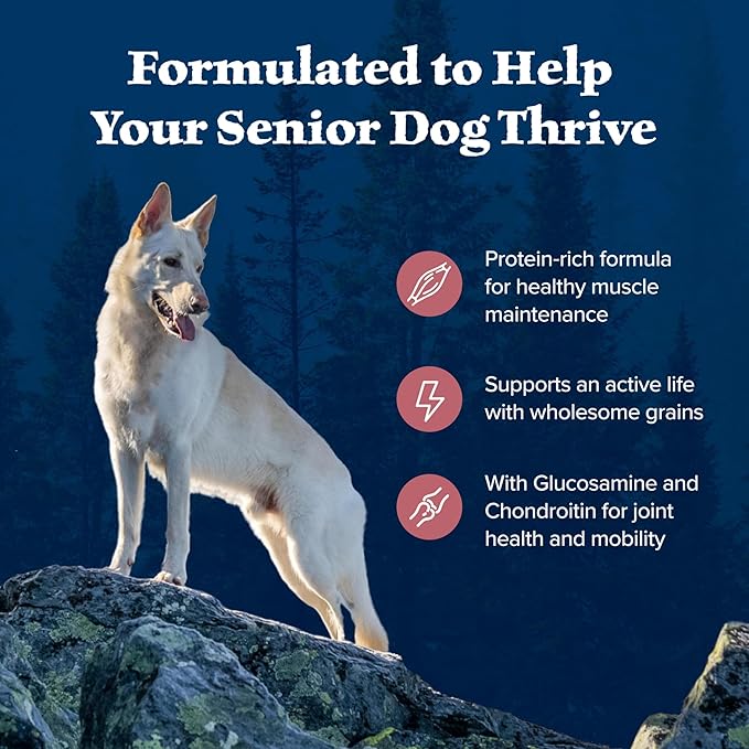Blue Buffalo Wilderness High-Protein Natural Dry Food for Senior Dogs, Salmon Recipe, 4.5-lb. Bag