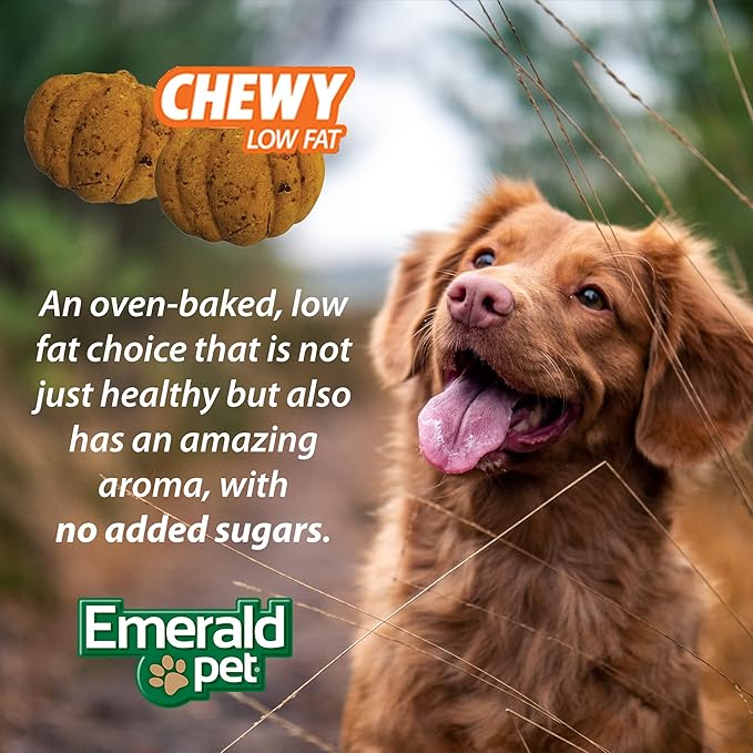 Emerald Pet Pumpkin Harvest Dog Treats — Low-Fat Chewy Natural Treats with Pumpkin for Digestive Health — Meat Free, Poultry Free, Wheat Free — Apple, 6 oz