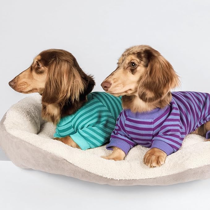 Fitwarm Green and Teal Striped Dog Pajamas, Waffle Dog Clothes for Small Dogs Girl Boy, Puppy Onesie with Feet, Pet Cat Outfit, Small