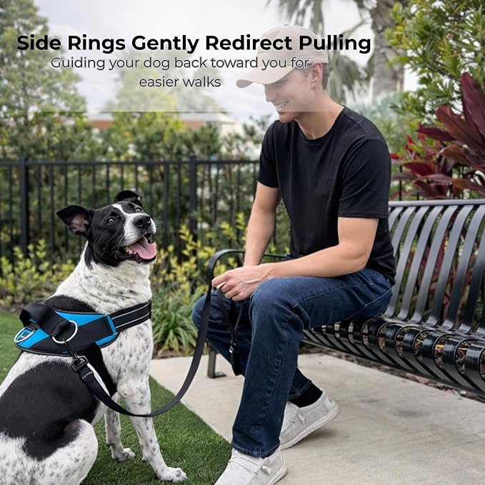 ShawnCo Essential Dog Harness, No-Pull Pet Vest with 3 Leash Clips, No Choke, Reflective, Adjustable and Padded, for Easy Walking and Training for Small, Medium and Large Dogs (Arctic Camo, XS)