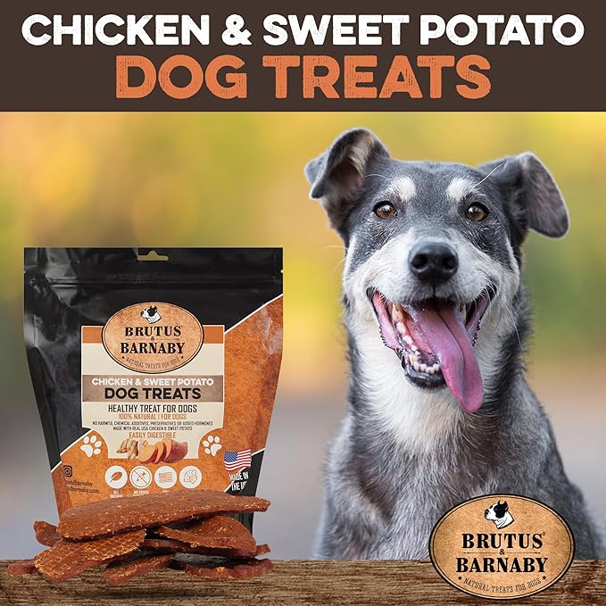 Chicken & Sweet Potato Jerky Dog Treats - Grain-Free, Preservative-Free, No Fillers - All Natural USA Chicken & Sweet Potato, High In Antioxidants - Healthy, Tasty Treat For Dogs