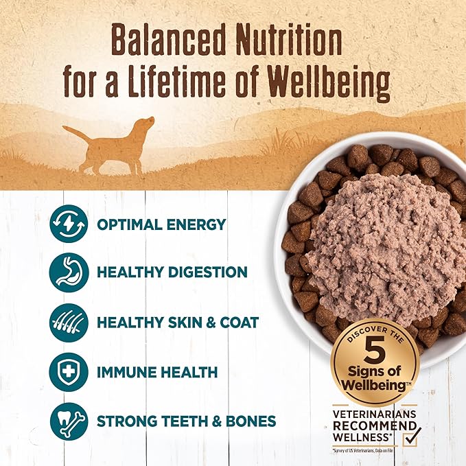 Wellness 95% Whitefish Natural Wet Grain Free Canned Dog Food, 13.2-Ounce Can (Pack of 12)