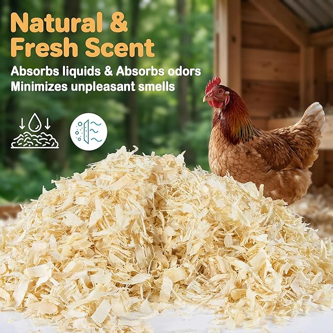 31OZ Sukh Chicken coop Bedding - Aspen shavings Animal Bedding as Chicken Supplies for Chicken House Bedding winterizing Nesting for Small pet Guinea Pig Rabbit Chinchilla Bird Gerbil Odor Control