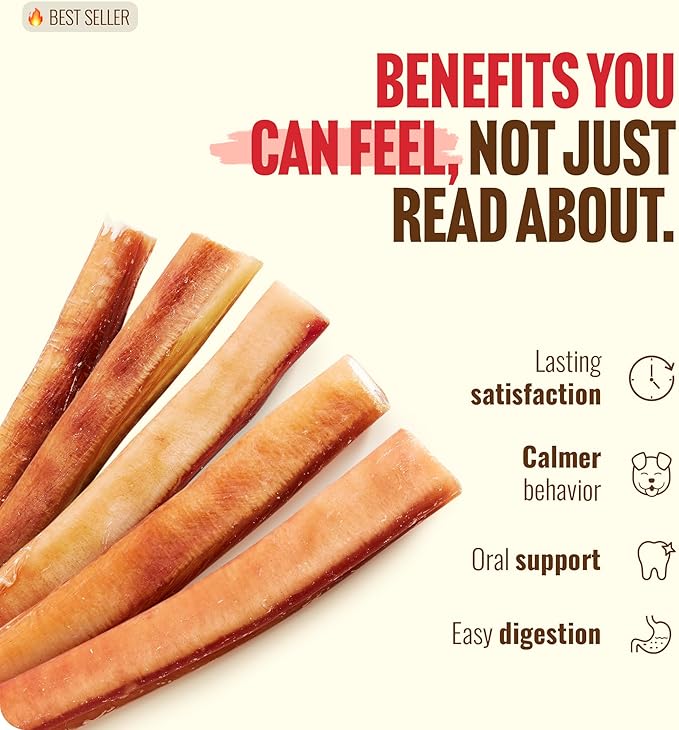 Natural Farm Extra-Thick 12-Inch Beef Bully Sticks Dog Chews (10-Pack) - Odor-Free Dental Treats for Dogs
