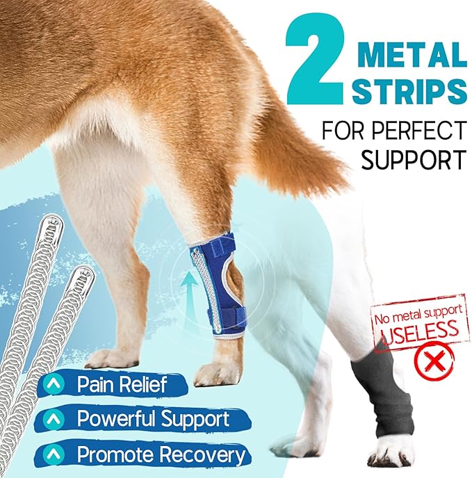 Supet Dog Leg Brace for Back Leg - Hock & Ankle Joint Support for Rear Legs with 2 Metal Springs, Anti-Slip Design & Reflective Trim for Sprain, Arthritis, Injury & Wound Recovery (Blue, L)