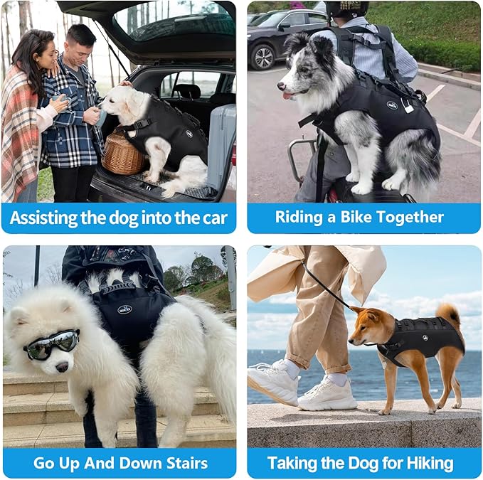 wakytu Dog Backpack Carrier for Medium Dogs Emergency Backpack, Old, Disabled, Joint Injuries, Arthritis, Rehabilitation Carrier Nail Trimming, Senior Dogs Up and Down Stairs, Cars(66-88LBS)