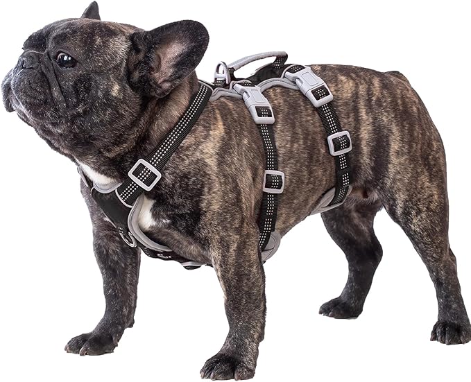 Huntboo Escape Proof Dog Harness, Escape Artist Harness, Reflective Harness with Padded Handle, Breathable, Durable, Adjustable Vest for Medium Dogs Walking, Training, and Running Gear (Black, S)