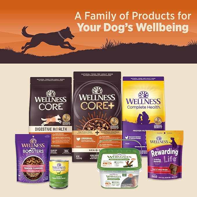 Wellness CORE 95% Natural Wet Grain Free Canned Dog Food, Turkey & Spinach,12.5-Ounce Can (Pack of 12)
