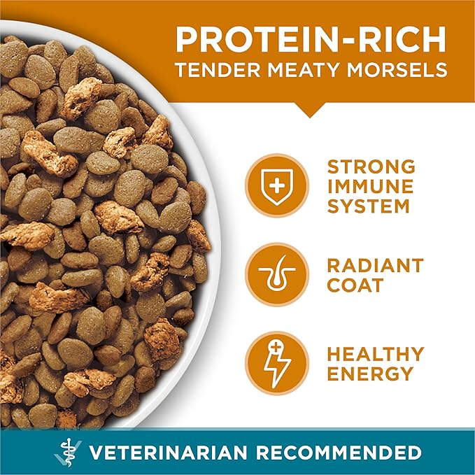 Purina ONE Natural Dry Cat Food, Tender Selects Blend With Real Chicken - 16 Lb. Bag