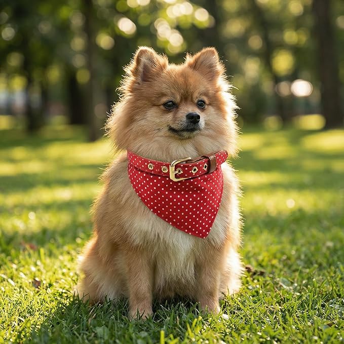 3PCS Bow Tie Dog Collar and Leash Set Plaid/Camo/Dots/Flower Dog Bandanas with Bell 3 Size Adjustable for Small Dogs Puppies and Cats (M, Red Dots)