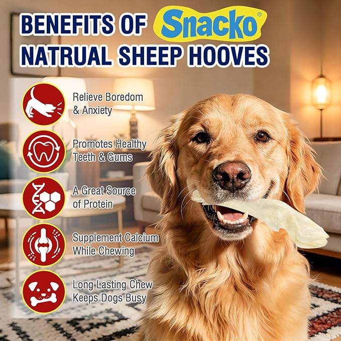 Sheep Hooves Dog Treats Dehydrated Lamb Trotters Single Ingredient Chew Sticks Bone for Puppy Organic Training Low Fat 20g