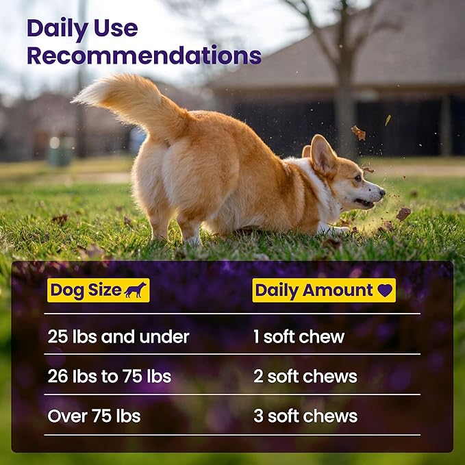 Advanced Hip & Joint Supplement for Dogs - 90 Soft Chews with Glucosamine, MSM, Chondroitin & Multivitamins - Supports Mobility & Flexibility - Made with Pasture-Raised Chicken