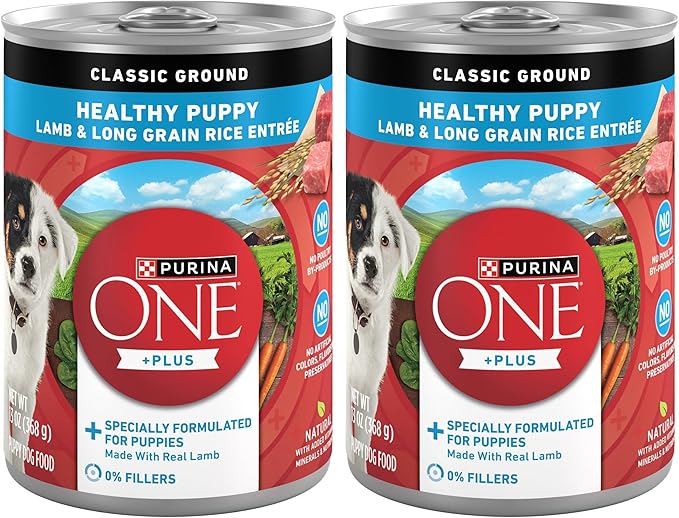 Purina ONE Plus Wet Puppy Food Classic Ground Healthy Puppy Lamb and Long Grain Rice Entree - (Pack of 24) 13 oz. Cans