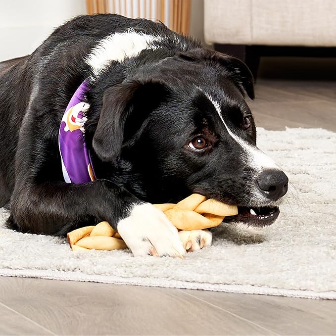 USA Beefhide Braids 7-8" Dog Chew Treats - Chicken Flavor, 6 Count/1 Pack