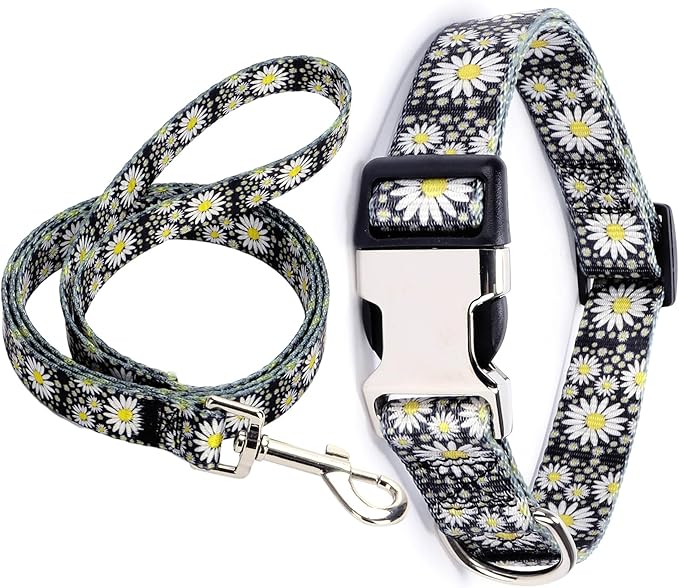 Puppy Collar and Leash Set, Pretty Design Print White Daisy Pattern Pet Collars for Small Medium Large Breed Female Dogs Girls Cats, XS