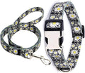 Small Dog Collar and Leash Set, Pretty Design Print White Daisy Pattern Pet Collars for Small Medium Large Breed Female Dogs Girls Cats, S