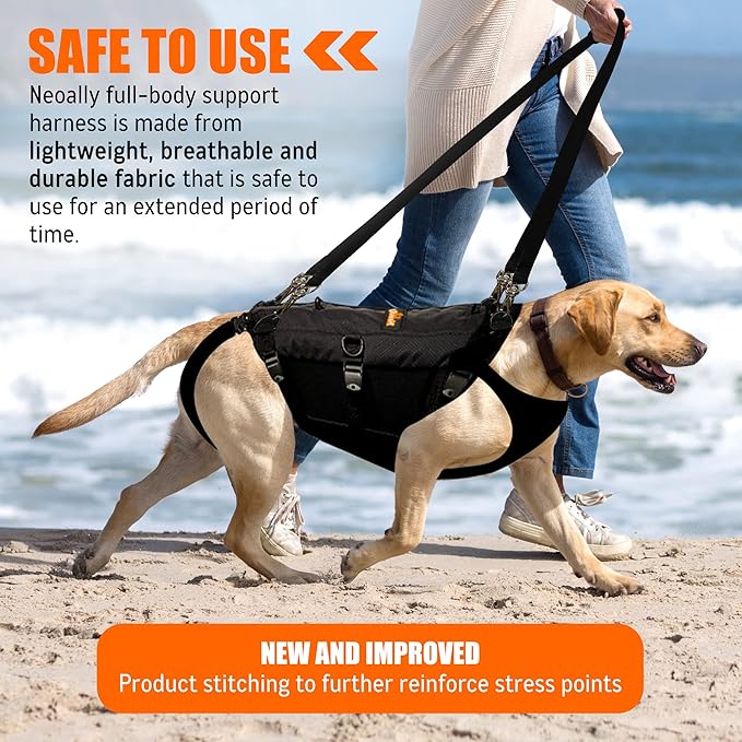 NeoAlly Sturdy Dog Lift Harness Full Body Support & Mobility Aids System - 5-in-1 Lifting Support, Carry Sling, Vest Harness, Back Brace, and Anxiety Vest - Endorsed by Shark Tank (Small)
