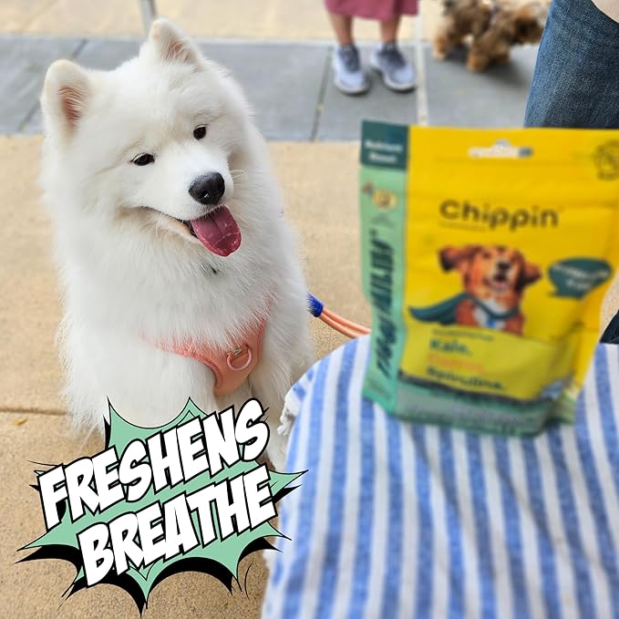 Chippin Healthy Dog Treats, All Natural Crunchy Biscuits with Spirulina, Kale, Oats, Low Calorie, No Meat, Hypoallergenic, Vegan Treats for Puppy, Small, Large Dogs