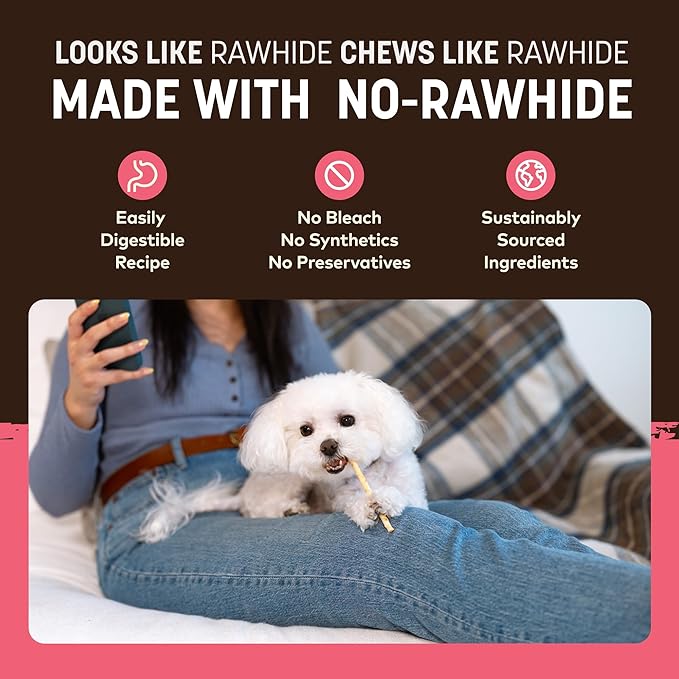 Earth Animal No Hide Stix - Long Lasting Rawhide Free Small Dog Chews Sticks, Chicken & Salmon Variety Bundle - 40 Count Value Pack