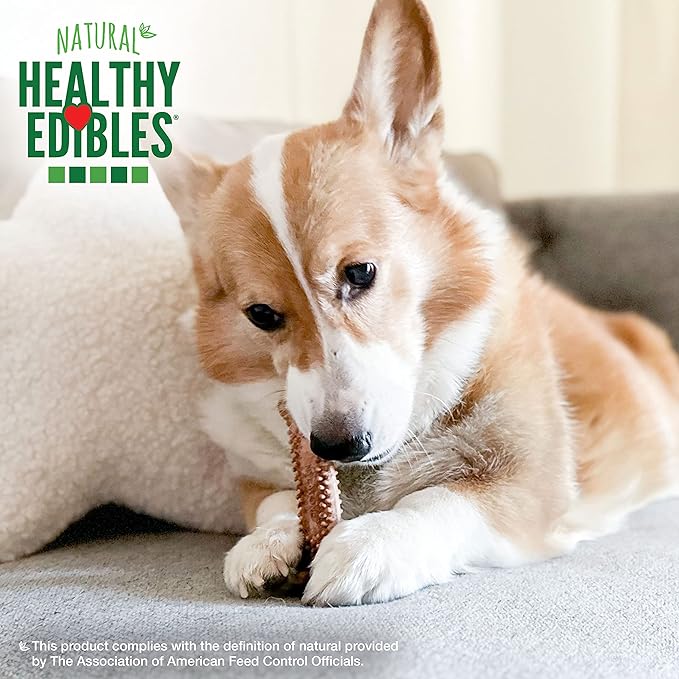 Nylabone Healthy Edibles Natural Dog Chews Long Lasting Chew Treats for Dogs, Roast Beef Flavor, X-Small/Petite (4 Count) (Pack of 2)