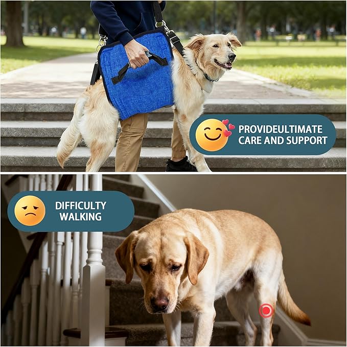 Adjustable Dog Lift Harness, Dog Carry Sling Provides Rear Leg Support for Arthritis and After ACL Surgery Dogs,Suitable for Medium to Large Dogs,XXL