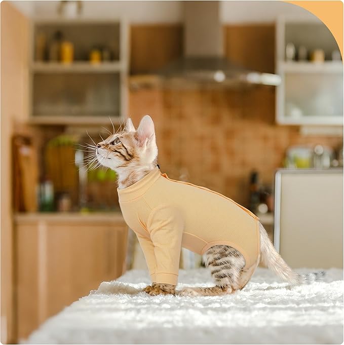 PUMYPOREITY Adjustable Cat Recovery Shirt, Front Leg Injury Suit, Stretchable & Comfortable, Anti-Licking Long Sleeve Wound Cover, Prevents Scratching & Biting, Machine Washable, Orange, M