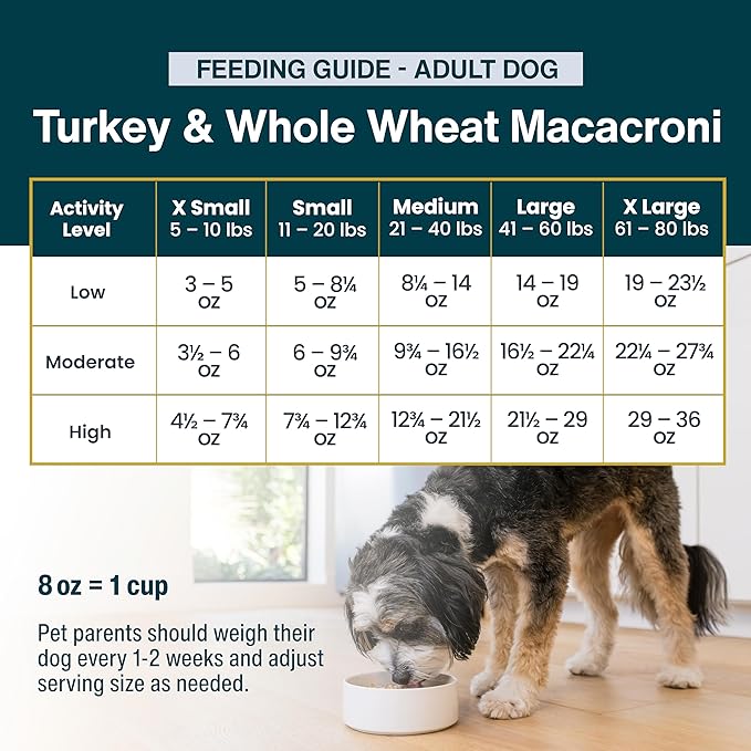 JustFoodForDogs Frozen Fresh Dog Food, Complete Meal or Dog Food Topper, Turkey & Whole Wheat Macaroni Human Grade Dog Food Recipe, 72 oz (Pack of 7)