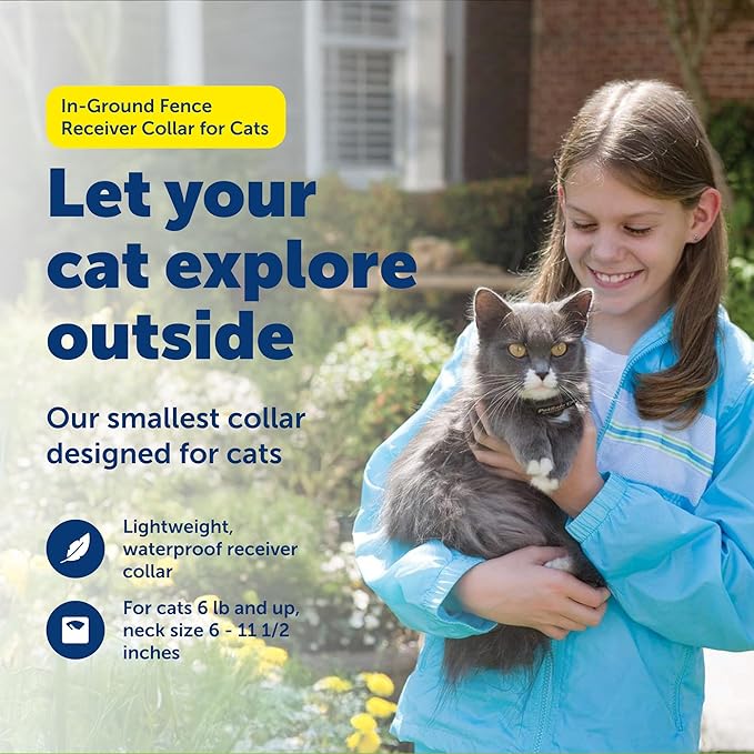PetSafe In-Ground Fence Receiver Collar for Cats - Waterproof & Battery-Operated Adjustable Invisible Perimeter Training Collar - for Cats Older Than 6 Months, Weighing Over 6 lbs