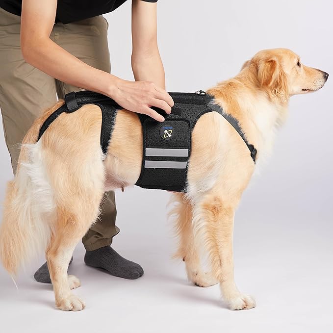Coodeo Dog Back Brace for Dogs Arthritis, Pet Back Bracer for IVDD, Back Protector Helps Pain Relief, Surgical Recovery and Rehabilitation, Dogs Back Disease Prevention. (Black,XX-Large)