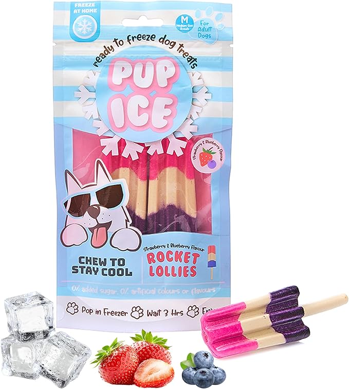 SPOT Pup Ice- Ready to Freeze at Home Dog Treats-Edible Chews for Medium Breed Dogs & Puppies with Real Chicken to Keep Your Pup Cool Year Round, Rocket Lollies Strawberry & Blueberry Flavor, 2pcs