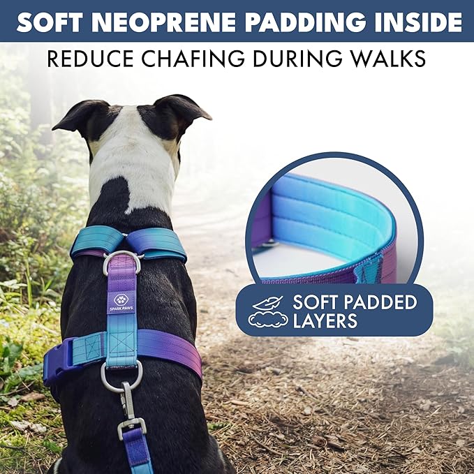 Spark Paws No Pull Dog Harness with Handle for Large Dogs, Heavy Duty Dog Harness for Big Strong Breeds, Adjustable, Y Shaped Padded Halter Design with Front Clip - 90s Retro - S