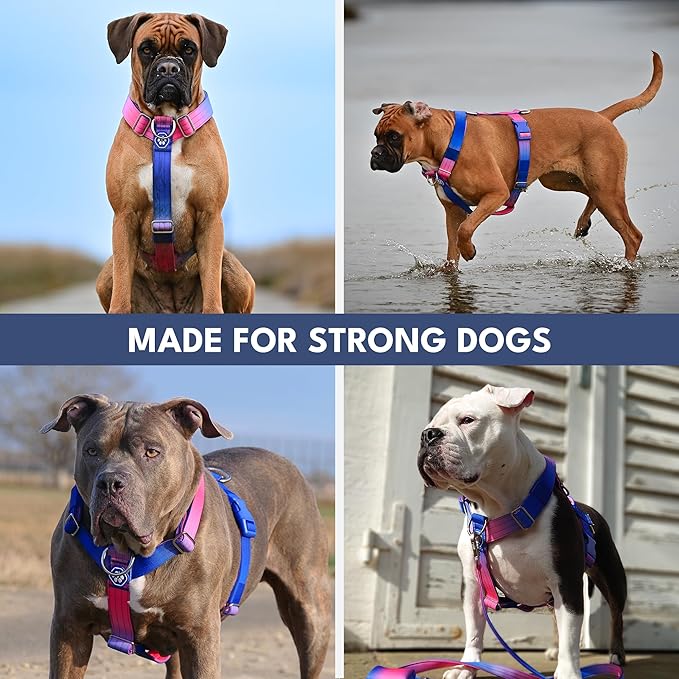 Spark Paws No Pull Dog Harness with Handle for Large Dogs, Heavy Duty Dog Harness for Big Strong Breeds, Adjustable, Y Shaped Padded Halter Design with Front Clip - Snow Cone - L