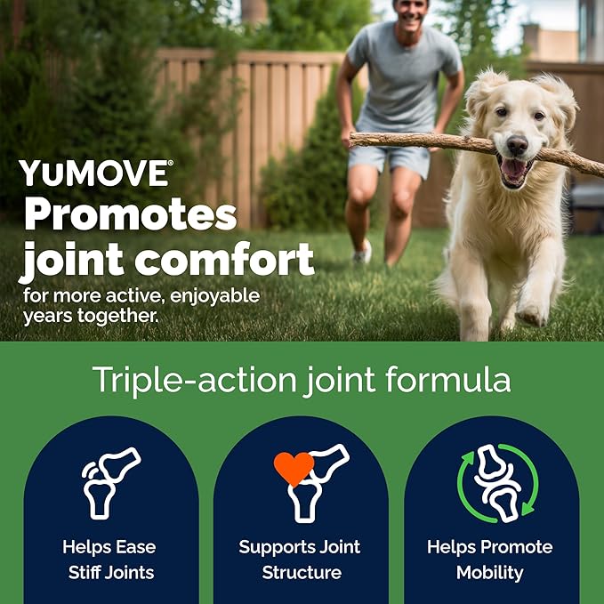 YuMOVE Hip & Joint Supplement for Dogs with Glucosamine, Hyaluronic Acid, Green Lipped Mussel & Omega 3 Joint Supplement - Regular or Advanced Strength (120 Count, Chewable Tablets)