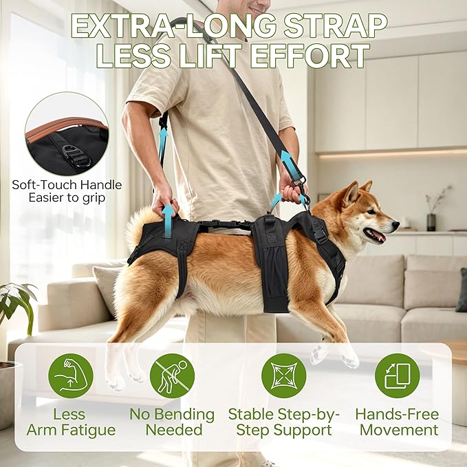 Dog Lift Harness for Male Dogs - 2-in-1 Full Body Support Aid & Sling, Comfortable & Chafe-Free for Post-Surgery Recovery and Elderly Dog Mobility, Hind Leg Assistance, Supports up to 40 Lbs (M)