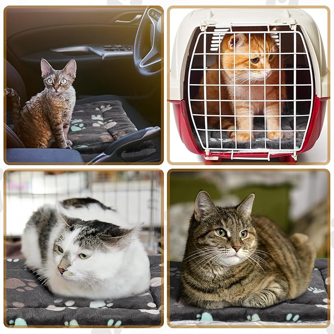 Tuanse 4 Pack Ultra Soft Dog Cat Bed Mat Small Animal Guinea Pig Bed with Cute Print Reversible Fleece Dog Crate Kennel Pad Cozy Washable Thickened Hamster Pet Beds Mat(13 x 19 Inches,Black)