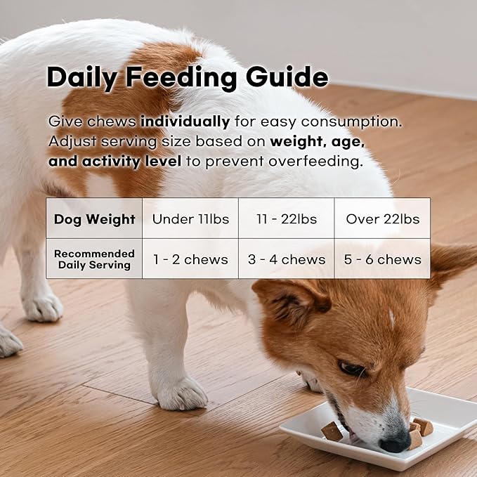 [PororoPet] NutriHome Joint Care for Dogs | Supports Joint Mobility, Flexibility & Overall Wellness | Green Lipped Mussel, MSM & Salmon Oil | 10.58oz (300g), Made in Korea