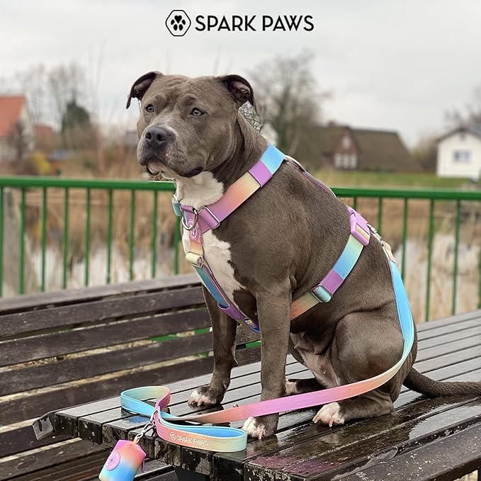 Spark Paws No Pull Dog Harness for Large Dogs, Heavy Duty Dog Harness for Big Strong Breeds, Adjustable, Y Shaped Padded Halter Design with Front Clip - Pastel Icing - L