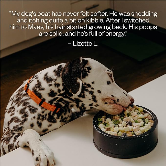 Maev Human-Grade Chicken Dog Food, Skin & Coat Formula, Whole Ingredient, Gluten-Free, High Protein Puppy & Dog Food, 30 lb