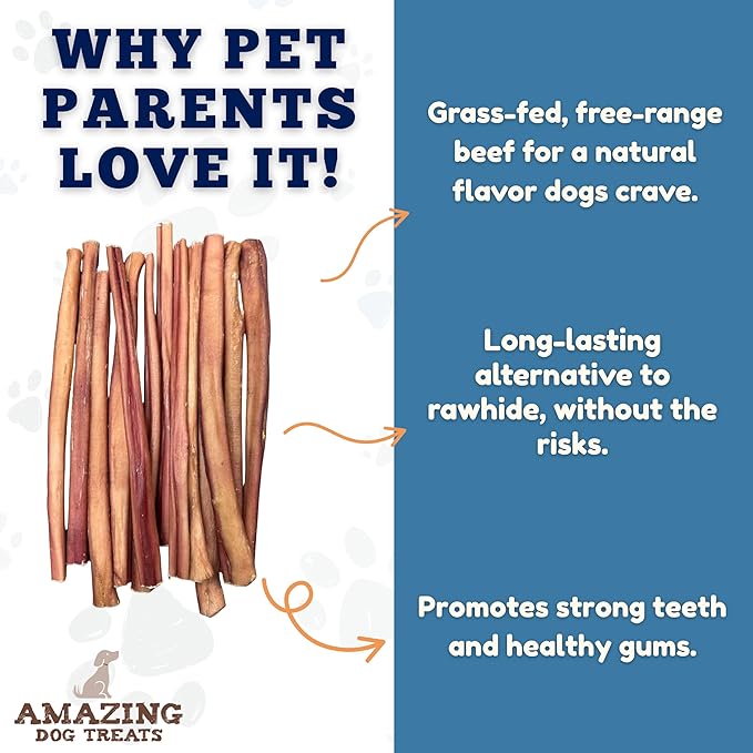 Amazing Dog Treats - 12 Inch Medium Size Bully Sticks (6 Count) - Bulk Bully Sticks for Dogs - No Hide Bully Stick Dog Bones