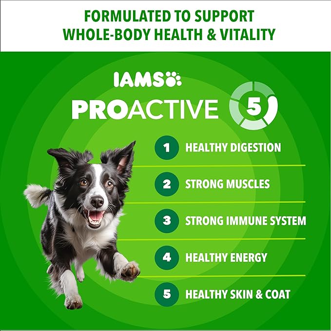 IAMS Proactive Health Adult Minichunks Premium Dry Dog Food, Adult Dog Food Dry Recipe, 40 lb.