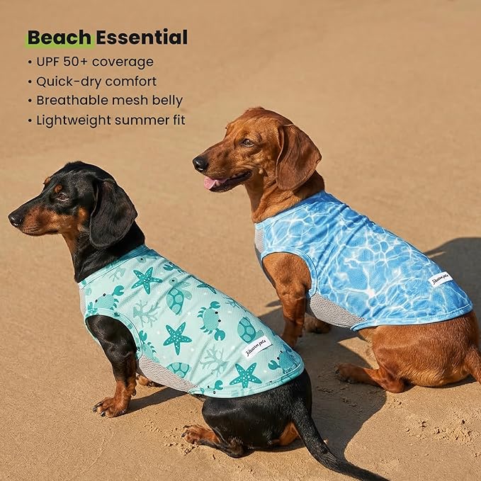 Fitwarm 2 Pack Marine UPF 50+ UV Sun Protection Dog Shirt, Lightweight Cooling Vest, Quick Dry Summer Clothes for Small Dogs Boy Girl, Pet Outfit, Sky Blue, Mint Green, Medium