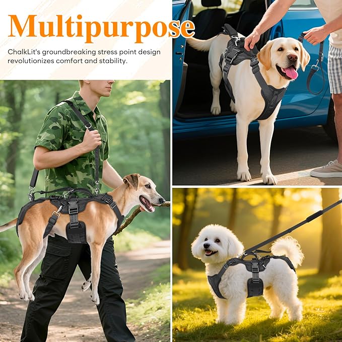 Dog Lift Harness, Dog Support & Recovery Sling for Full-Body & Hind/Front Leg – Pee-Able Design for Large/Medium Dogs – All-in-One Ideal Assistance for Senior, Disabled, Arthritic & ACL Canines (L)