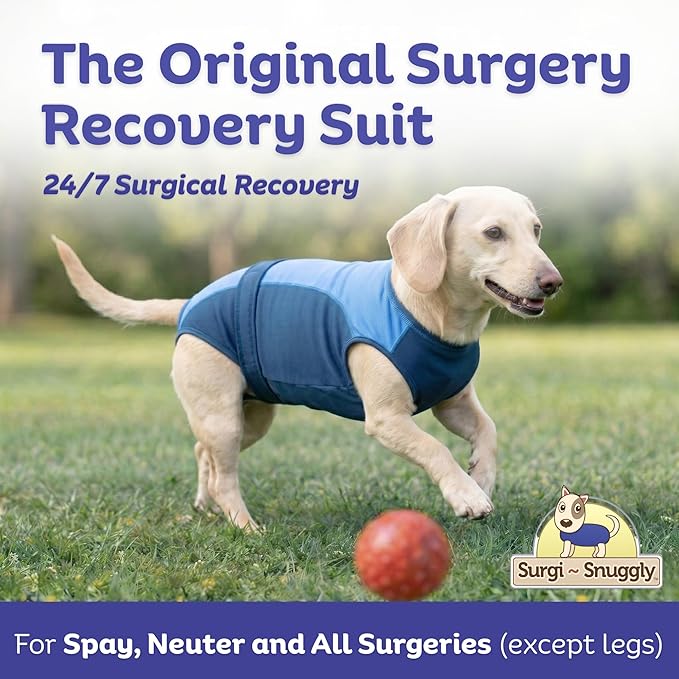 Surgi Snuggly Dog Surgery Recovery Suit - Dog Onesie for Post Surgery Recovery, Female Spay & Male Neuter - Surgical Suit for Dogs, E-Collar Cone Alternative, Double Blue - Small Long - 12" - 15" (EC)